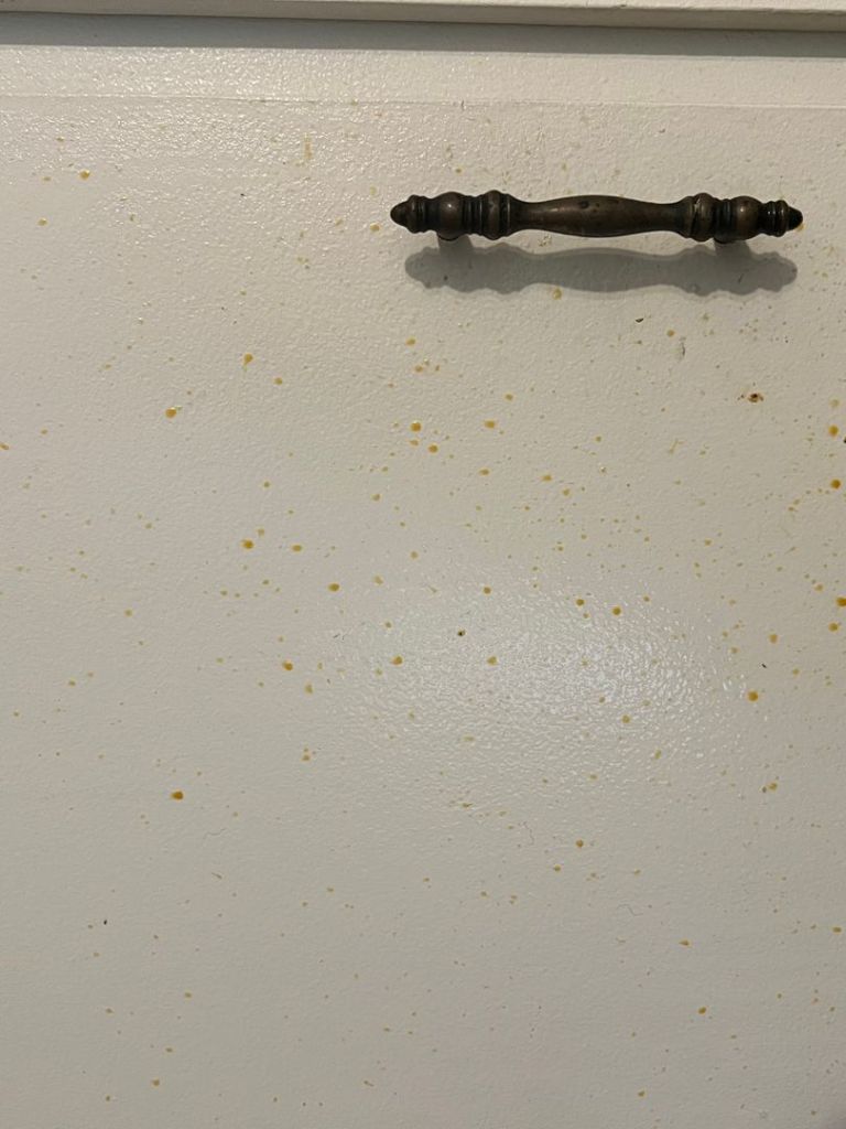 grab bars before and after cleaning image