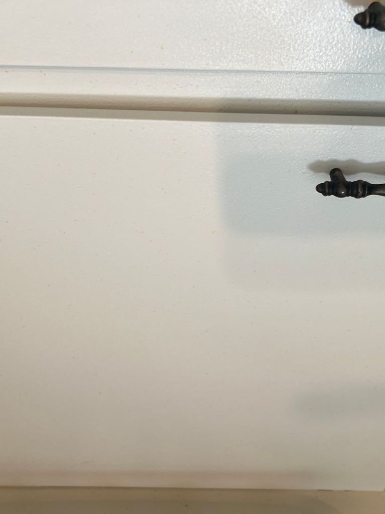 grab bars cleaning image